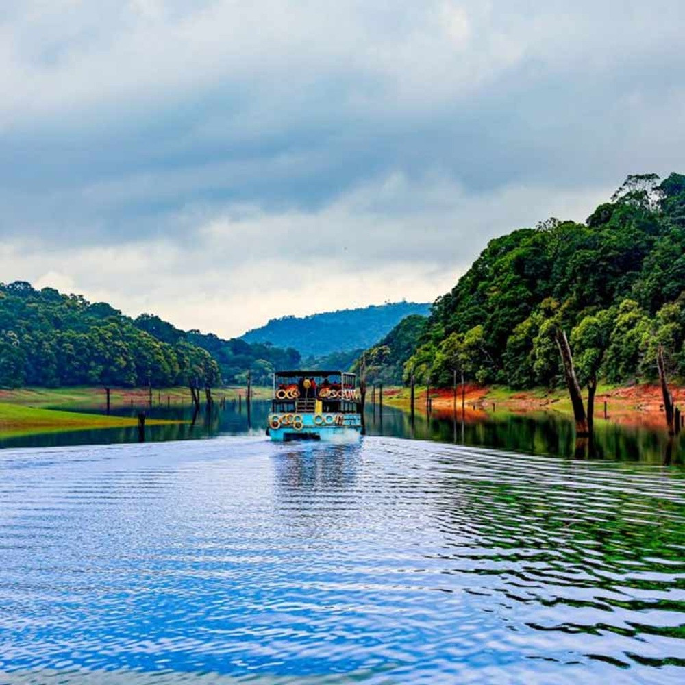 3-Day Munnar Eco Point and Tea Museum Nature Tour from Kochi