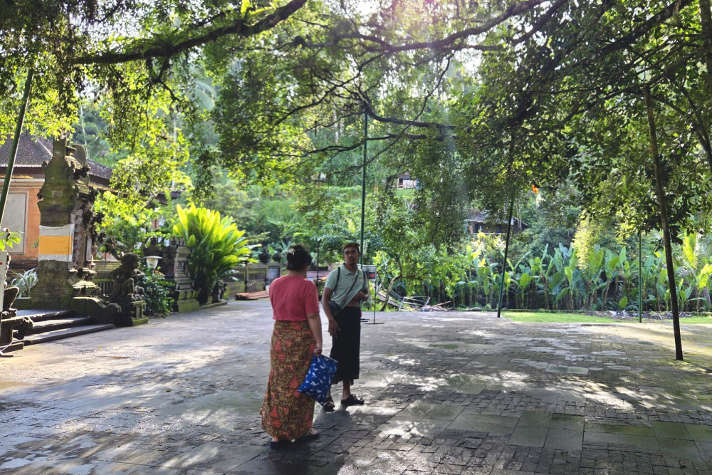 Ubud Daily Trips