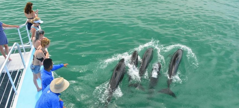 Manuel Antonio Shared Eco Adventure In The Tom Cat 70 x 40 ft