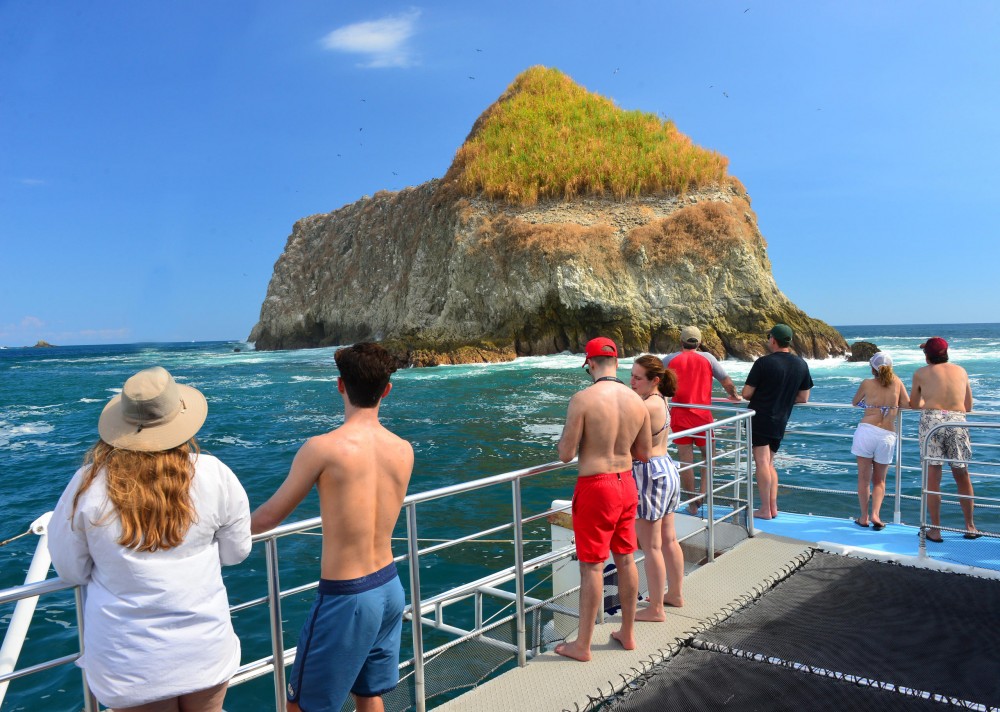 Planet Dolphin Catamaran Eco Adventures