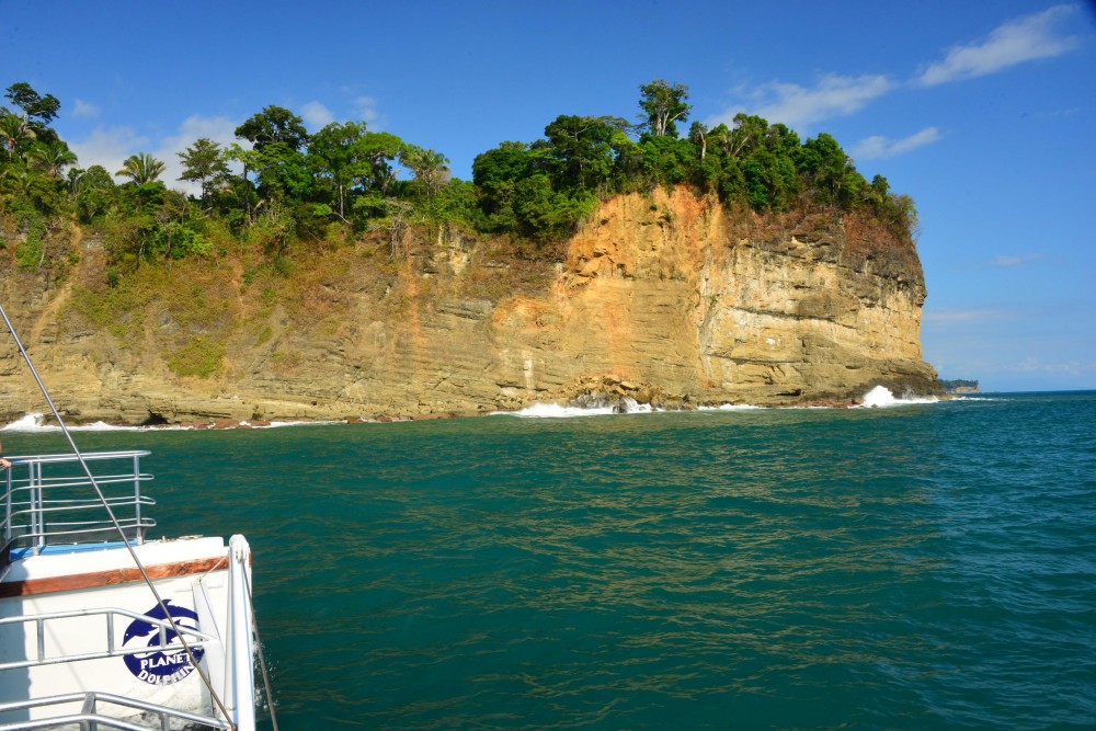 Planet Dolphin Catamaran Eco Adventures