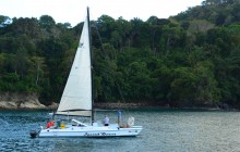 Planet Dolphin Catamaran Eco Adventures3