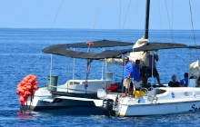 Planet Dolphin Catamaran Eco Adventures4