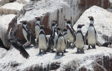 Like Xplorer Peru2
