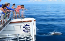 Planet Dolphin Catamaran Eco Adventures12