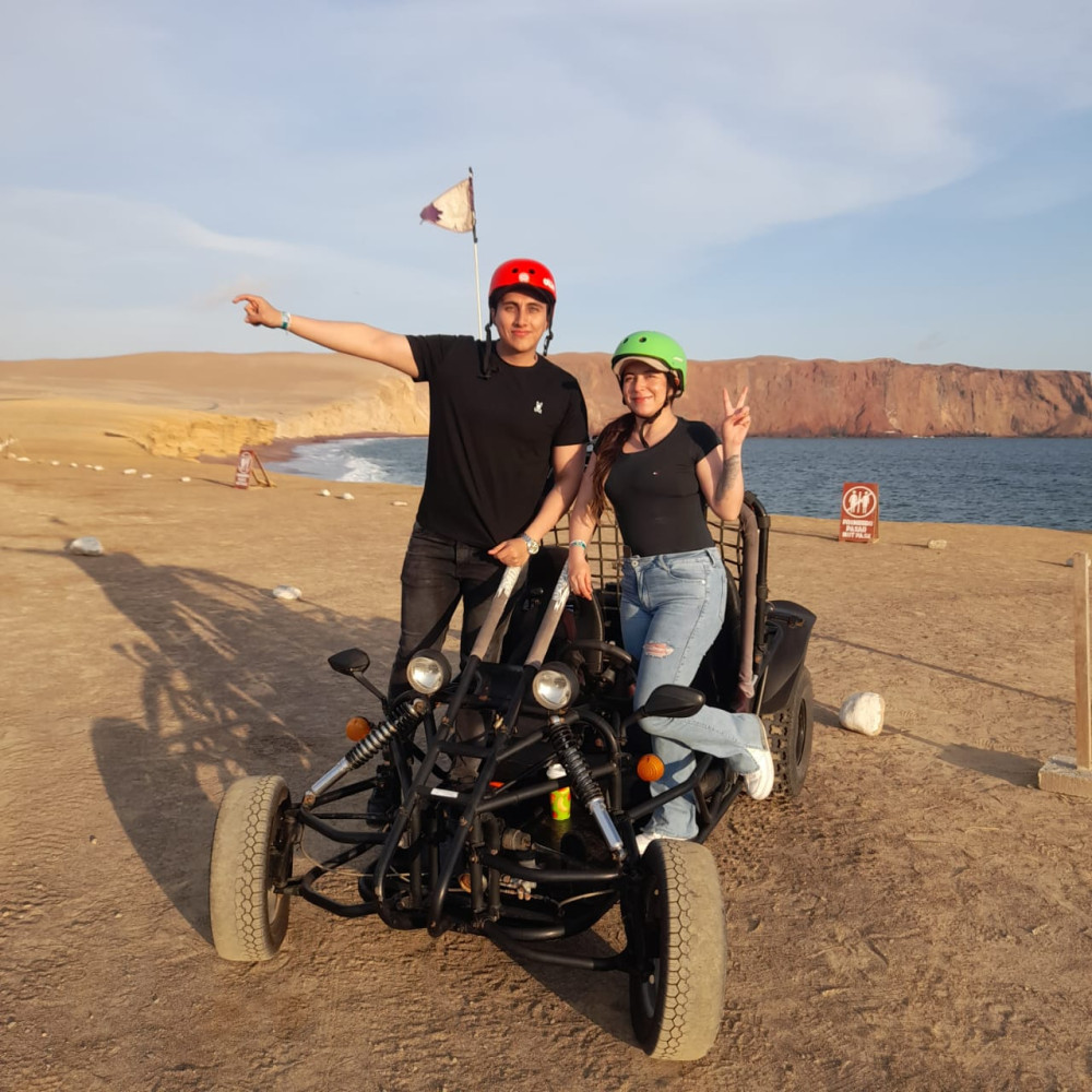 Minibuggy tour to the Paracas National Reserve.