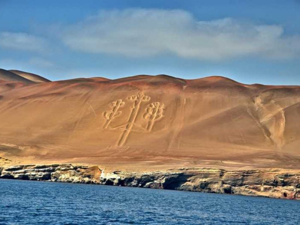Full Day Tour: Ballestas Islands and Paracas National Reserve