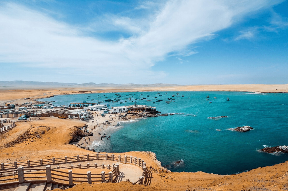 Scenic Landscapes Tour of Paracas National Reserve in Peru