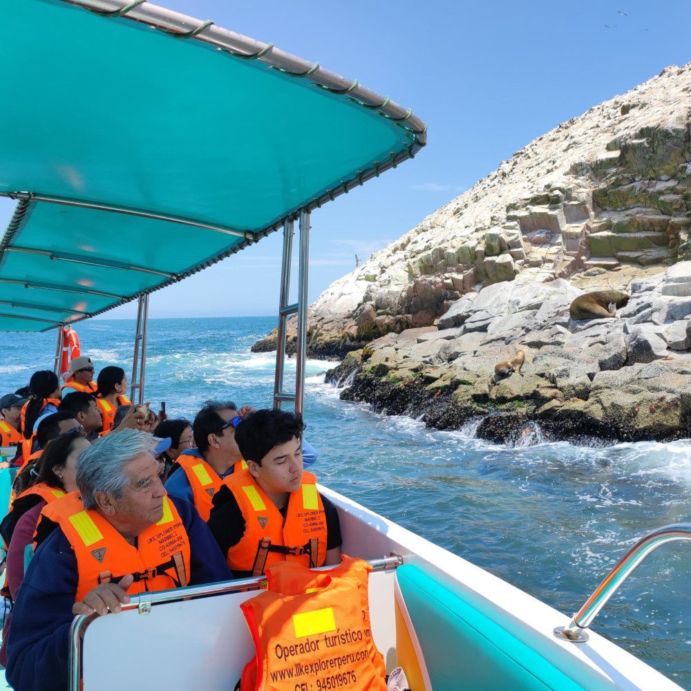 Ballestas Islands Wildlife with El Candelabro from Paracas