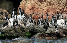Like Xplorer Peru3