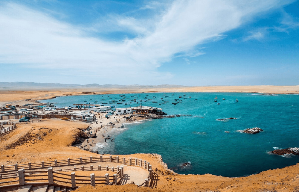 Full-Day Ballestas Islands, Ica City, and Huacachina Dune Buggy Tour