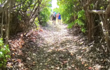eBike Island Adventures Inc.4