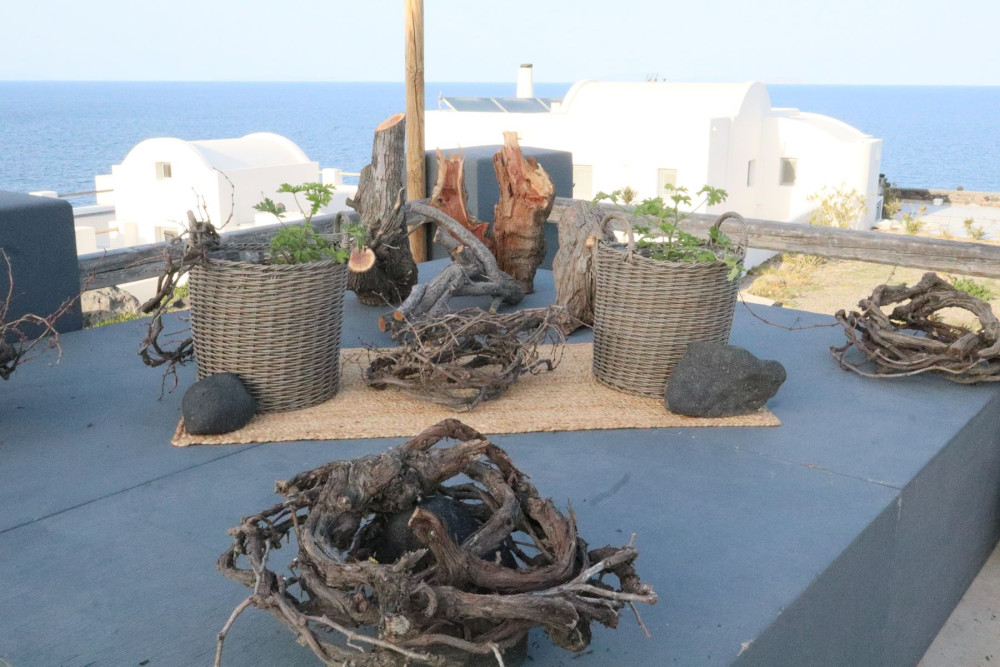 Echoes of Akrotiri: A Private Tour with a Gourmet Finale