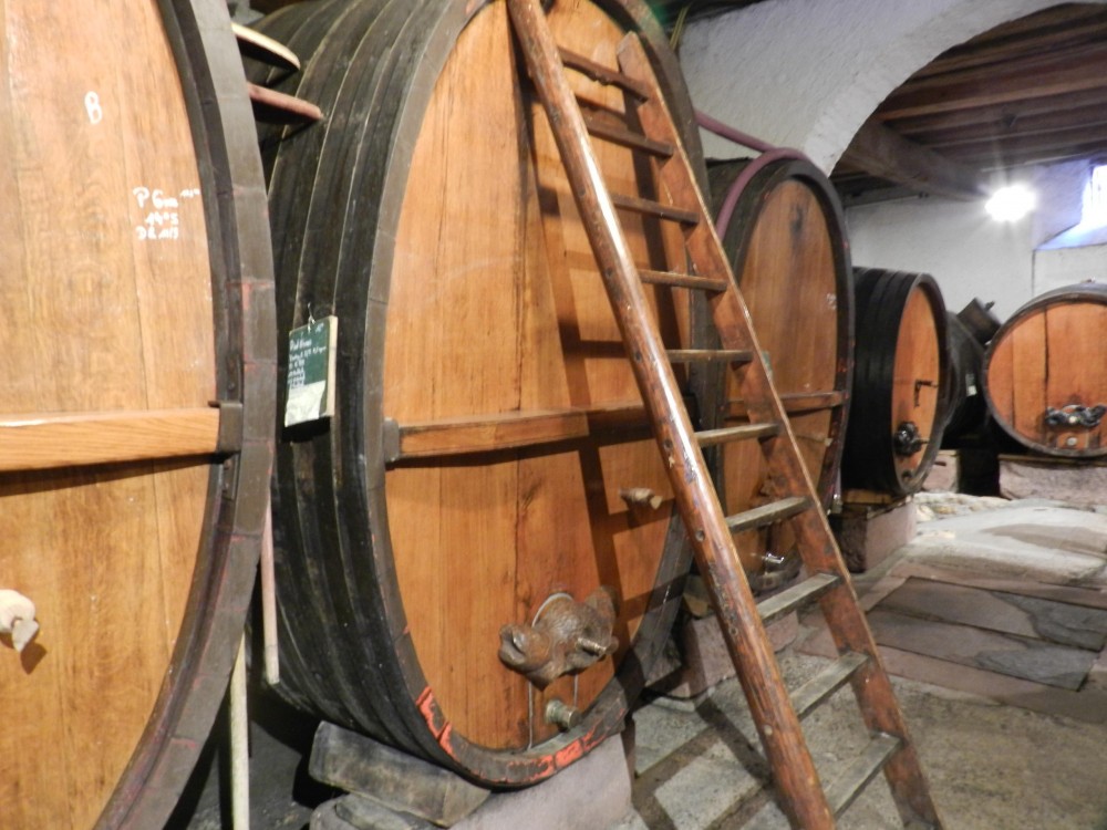 Alsace Safari SarL
