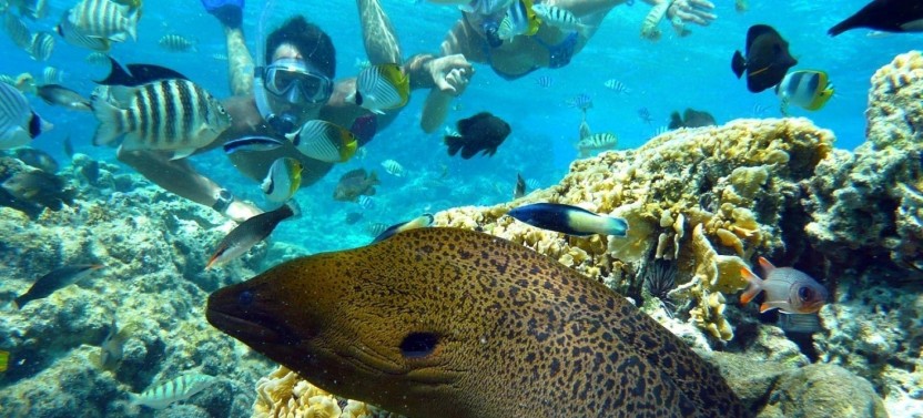 Private Lagoon Tour with Snorkeling