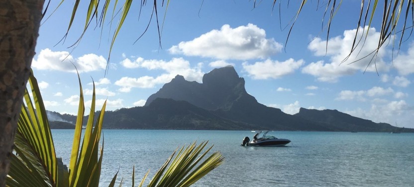 Full Day Private Charter with Motu Lunch