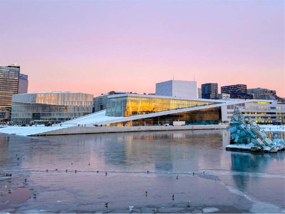 Silent Oslo Fjord Cruise