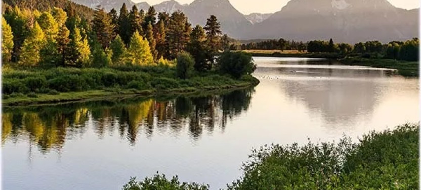 Private Grand Teton Dawn or Dusk Wildlife Photo Safari