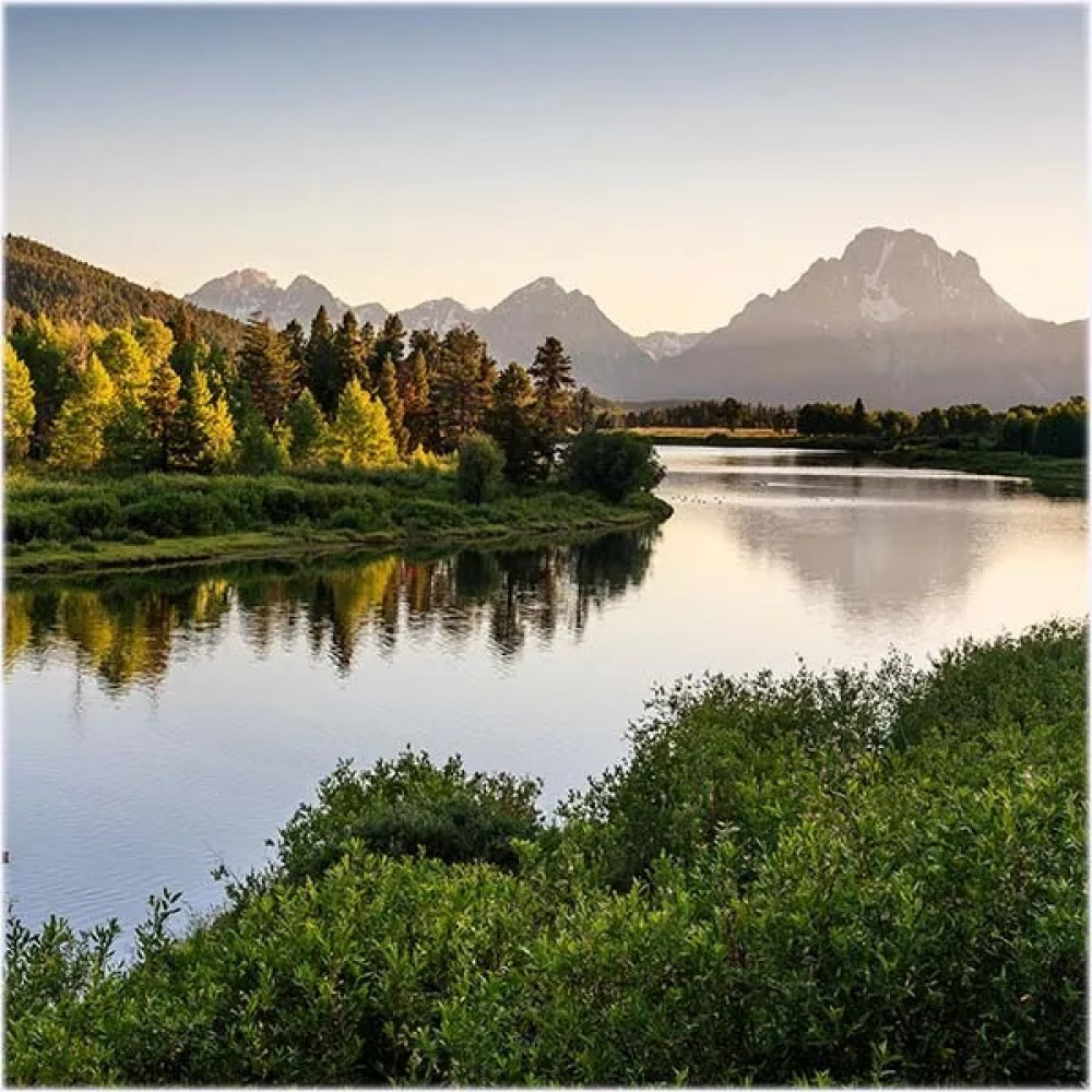 Private Grand Teton Dawn or Dusk Wildlife Photo Safari