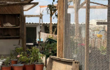 Santorini's Luxury Travel8