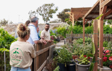 Santorini's Luxury Travel1