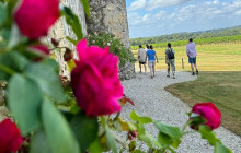 Monsieur Bacchus Bicycle Tours16