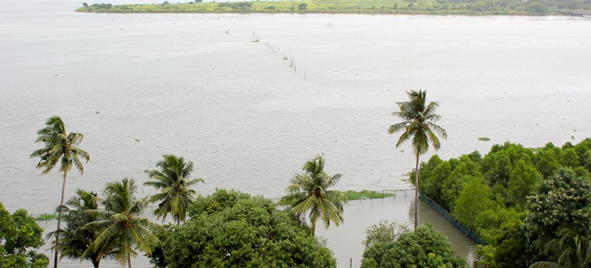 Traditional Kerala Christian Feast with Backwater Views in Kochi