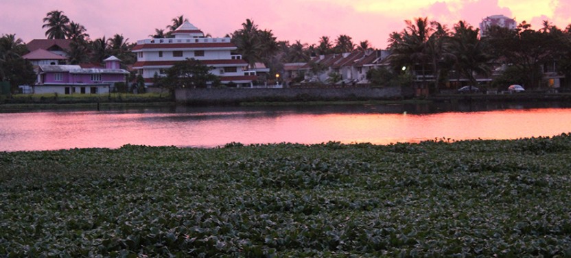 Kerala Muslim Cooking Class with a Riverfront View in Kochi