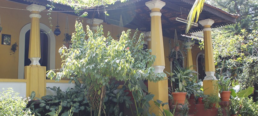 Private Authentic Portuguese Goan Cuisine Cooking Lesson