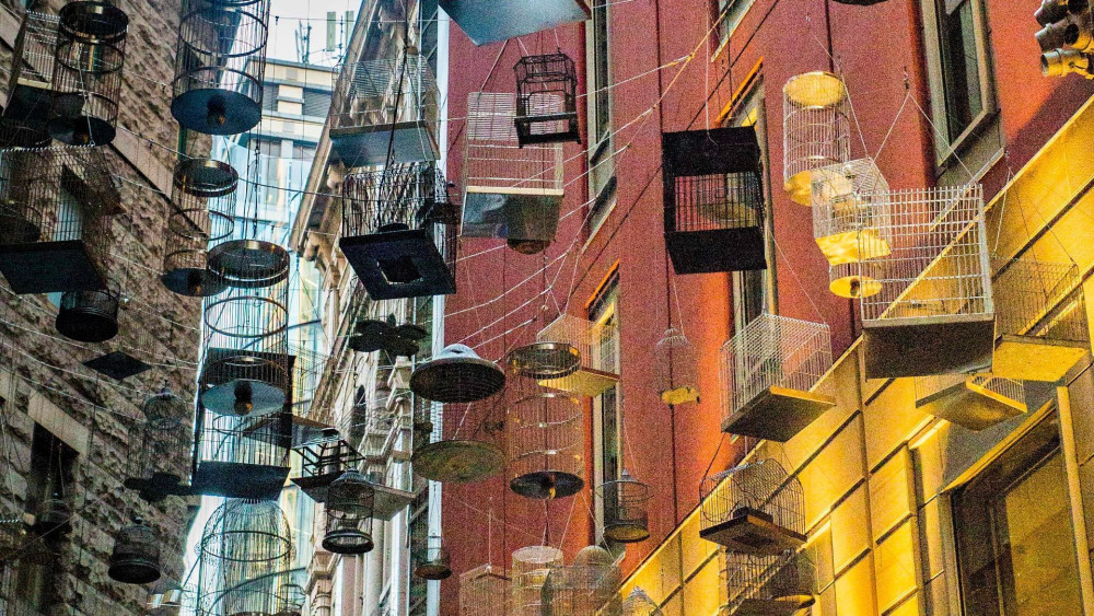 Sydney Flexi Pass: Choose 5 Top Attractions Over 5 Days