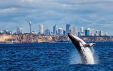 Smartvisit International Pty Ltd (Australia)5