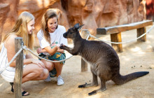 Smartvisit International Pty Ltd (Australia)13