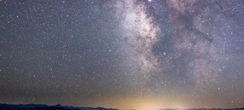 Grand Teton Wildlife Full Day Tour with Evening Stargazing