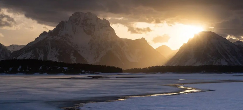 Grand Teton Wildlife Full Day Tour with Evening Stargazing