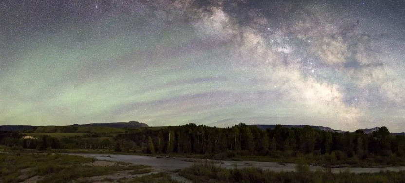 Grand Teton Wildlife Full Day Tour with Evening Stargazing
