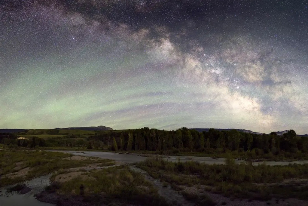 Grand Teton Wildlife Full Day Tour with Evening Stargazing