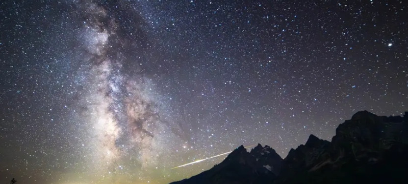 Yellowstone Wildlife Full Day Tour with Evening Stargazing