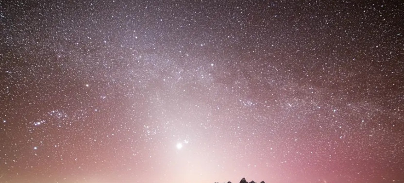 Yellowstone Wildlife Full Day Tour with Evening Stargazing