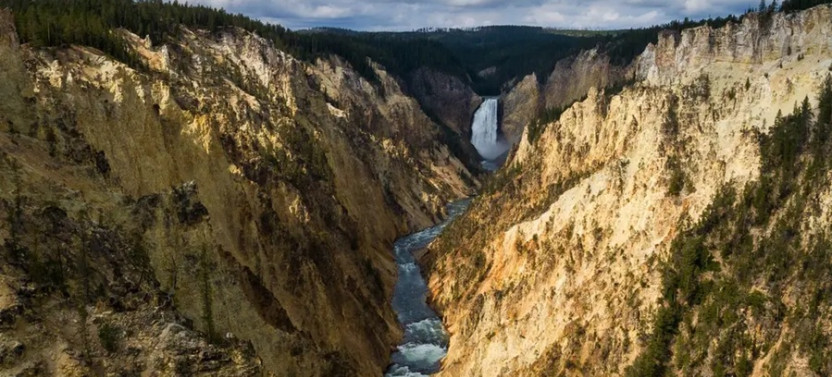 Yellowstone Wildlife Full Day Tour with Evening Stargazing