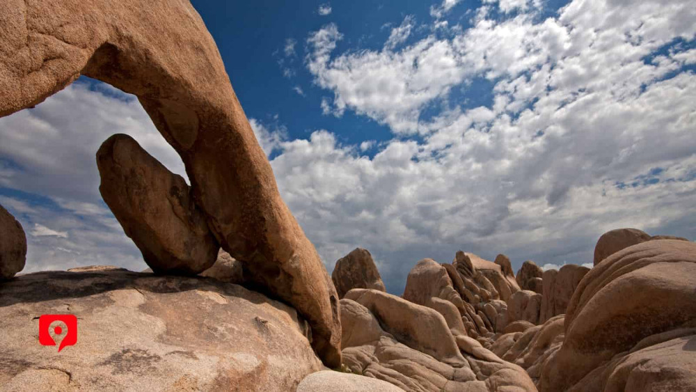 Audio-Guided Driving of the Joshua Tree National Park