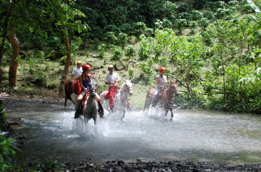 Waterfall Horseback Riding Tour