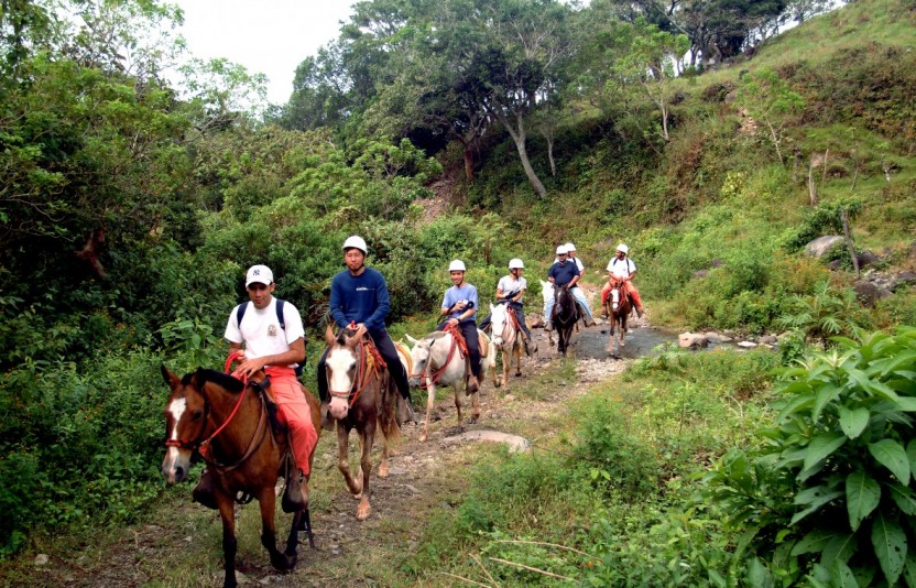 Gold Mine Horseback Riding Tour