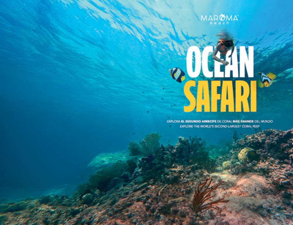 Ocean Safari - Wave Runner