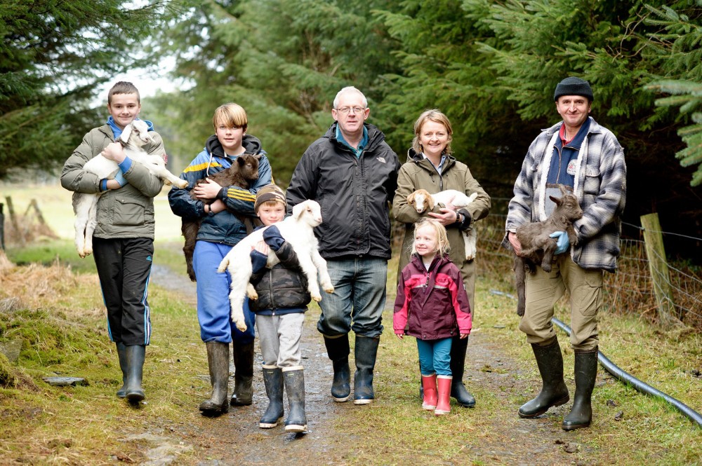 Award-Winning Goat Cheese Tasting & Goat Farm Visit In Ennistymon