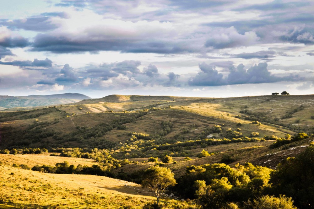 Parrilla Experience With Amazing Views Near Punta Del