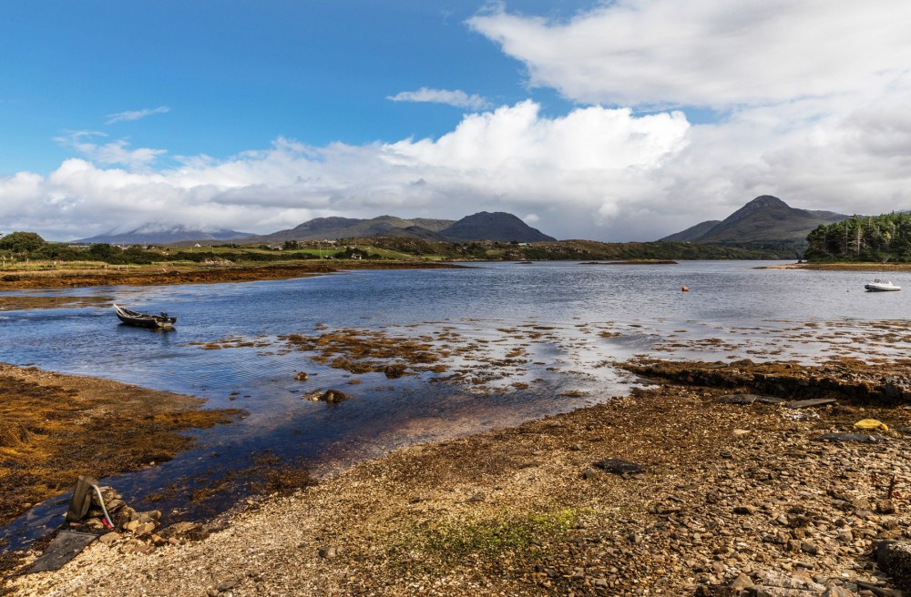 Small Group Oyster Tour And Tasting At Ballinakill Bay