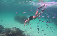 Rooty Trip Phu Quoc7