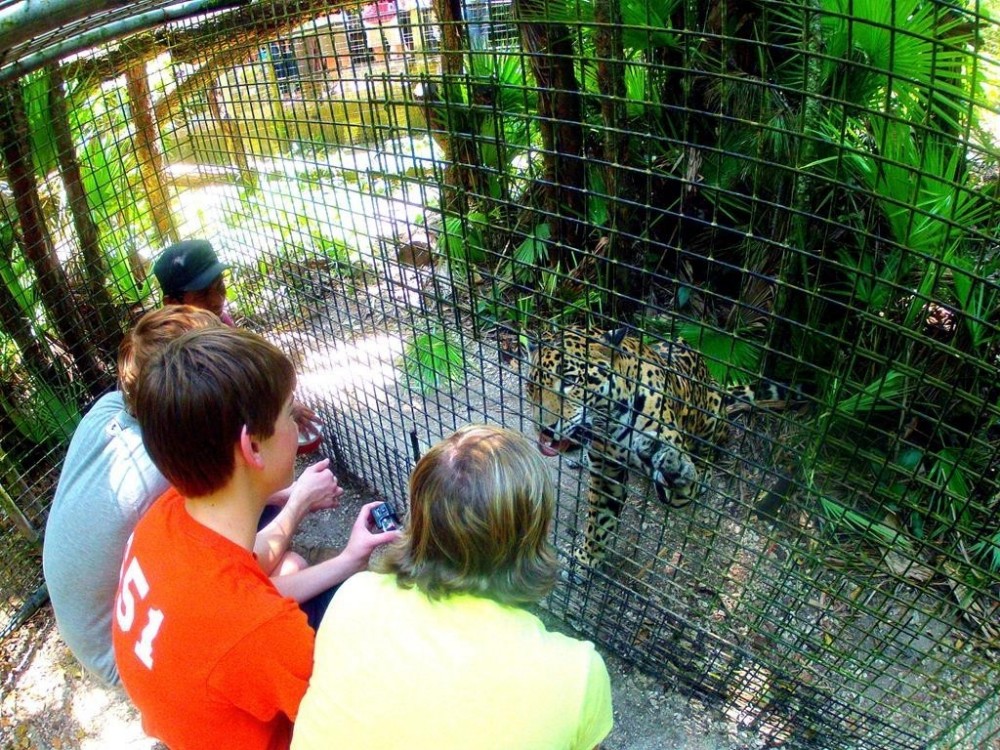 Belize Zoo Adventure - Belize City | Project Expedition