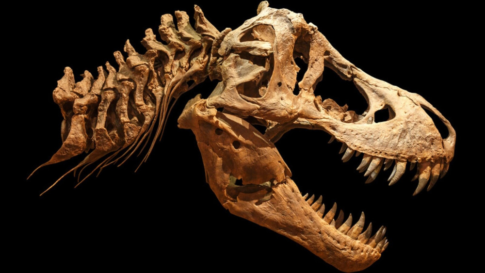 Self-Guided Driving Tour of Drumheller