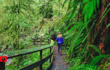GuideAlong (GyPSy Guide)4